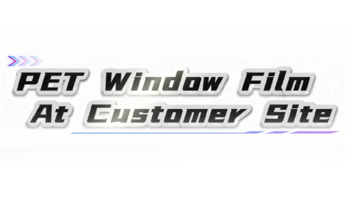 Pet Window Film en el sitio del cliente